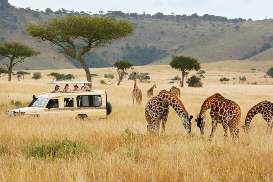 A Private Safari Experience in the African Wilderness